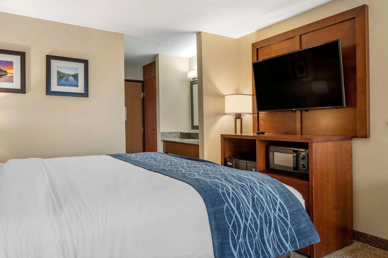 Comfort Inn & Suites Dimondale - Lansing Zewnętrze zdjęcie