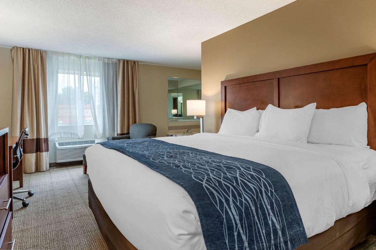 Comfort Inn & Suites Dimondale - Lansing Zewnętrze zdjęcie