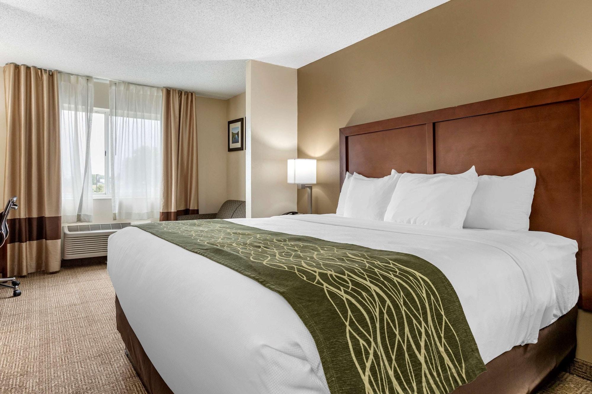 Comfort Inn & Suites Dimondale - Lansing Zewnętrze zdjęcie