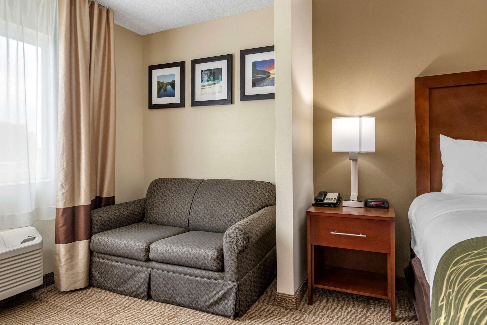 Comfort Inn & Suites Dimondale - Lansing Zewnętrze zdjęcie