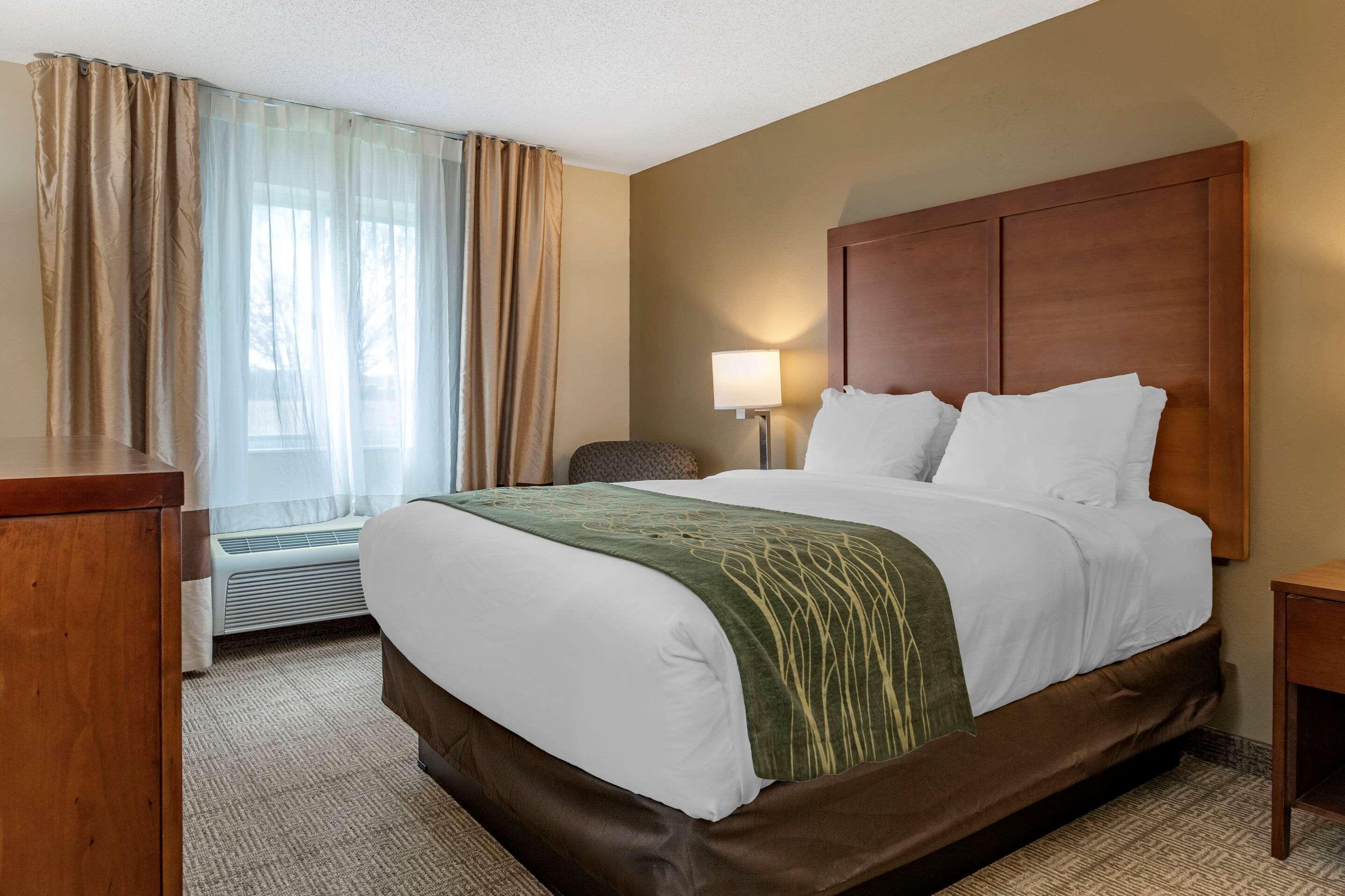 Comfort Inn & Suites Dimondale - Lansing Zewnętrze zdjęcie