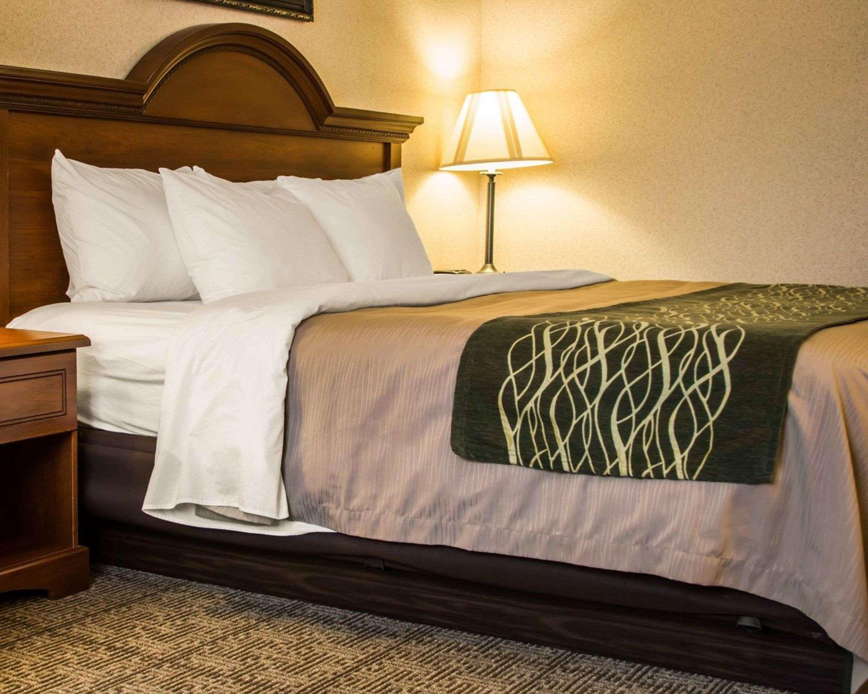 Comfort Inn & Suites Dimondale - Lansing Zewnętrze zdjęcie