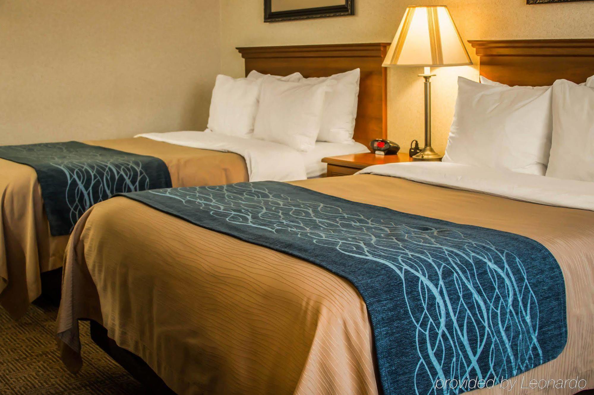 Comfort Inn & Suites Dimondale - Lansing Zewnętrze zdjęcie