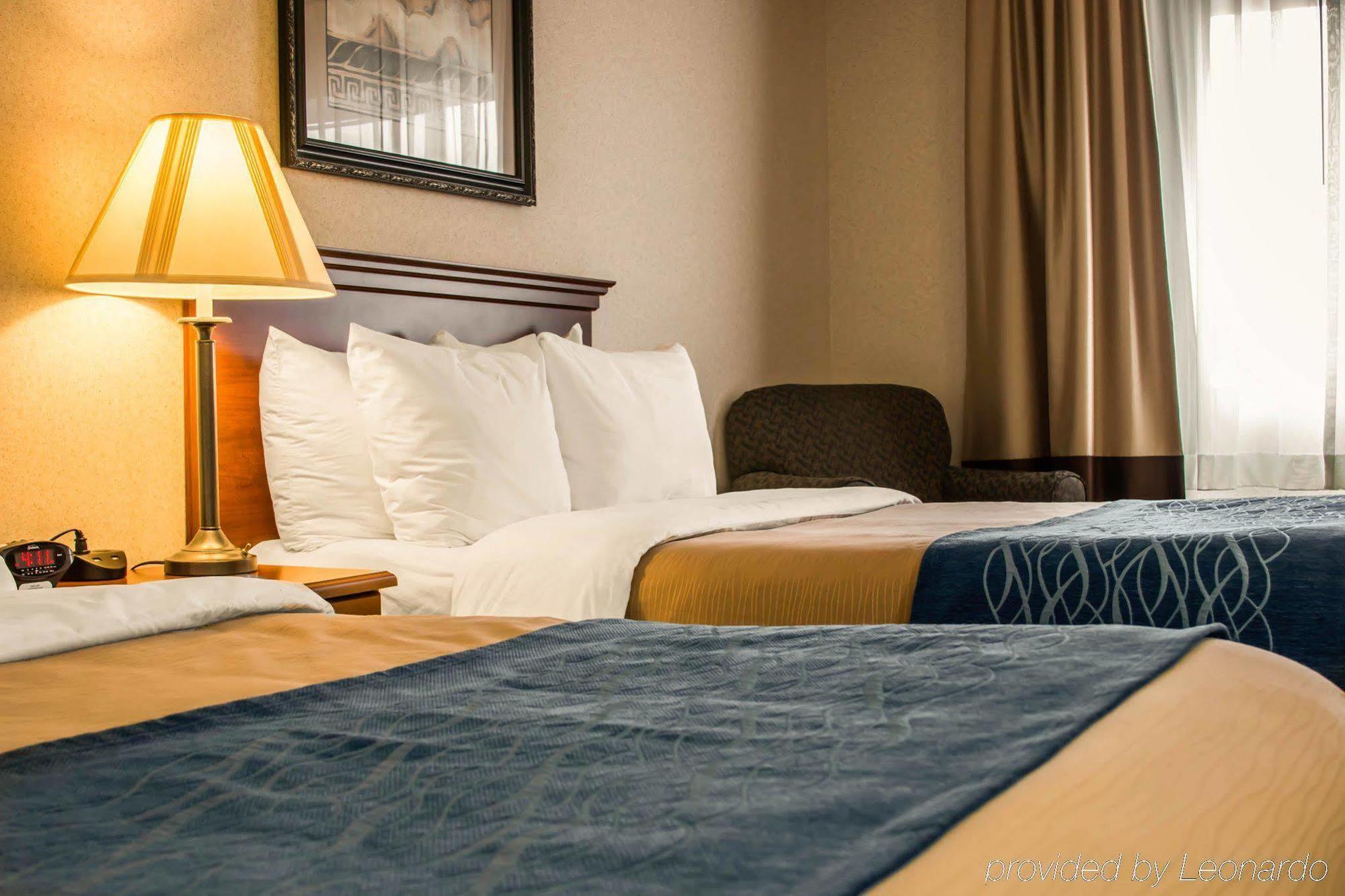 Comfort Inn & Suites Dimondale - Lansing Zewnętrze zdjęcie